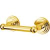 Polished Brass