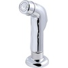 Polished Chrome