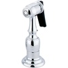 Polished Chrome