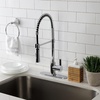 image:imageGourmetier LS8670CTL Continental SingleHandle PreRinse Kitchen Faucet Matte BlackPolished Chrome