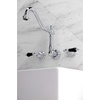 image:imageKingston Brass FB758NFLSP NuWave French 8Inch Centerset Kitchen Faucet with Sprayer Brushed NickelPolished Chrome