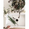 image:imageKingston Brass KS3197AL 14 Turn Water Filtration Faucet Brushed BrassPolished Nickel
