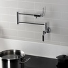 image:imageKingston Brass KS4108KL Whitaker Wall Mount Pot Filler Brushed NickelPolished Chrome