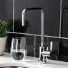 image:imageKingston Brass KS6193CTL Continental SingleHandle Water Filtration Faucet Antique BrassPolished Nickel