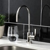 image:imageKingston Brass KS8196CTL Continental SingleHandle Water Filtration Faucet Polished NickelPolished Nickel