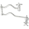 Polished Chrome