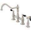 Polished Nickel