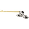 Polished Nickel