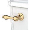 Polished Brass