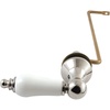 Polished Nickel