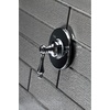 image:imageKingston Brass KS3036AL 3Way Diverter Valve with Trim Kit Polished NickelPolished Chrome