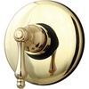 Polished Brass