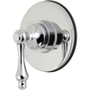 Polished Chrome