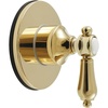 Polished Brass