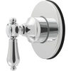Polished Chrome