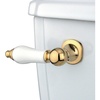 Polished Brass