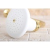 image:imageKingston Brass P50PB Designer Trimscape Victorian Ceramic Showerhead Polished BrassPolished Brass