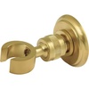 Brushed Brass
