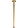 Brushed Brass