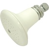 image:imageKingston Brass P50PB Designer Trimscape Victorian Ceramic Showerhead Polished BrassPolished Chrome