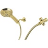 image:imageKingston Brass KX1542BD Vilbosch MultiFunction Hand Shower Kit Polished Brass