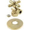 Polished Brass