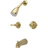Polished Brass