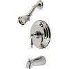 Polished Nickel