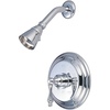 Polished Chrome