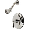 Polished Nickel
