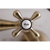 image:imageKingston Brass KS265SB Tub Wall Mount Clawfoot Tub Faucet with Hand Shower Brushed BrassAntique Brass