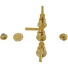 Brushed Brass