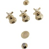 Polished Brass