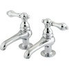 Polished Chrome