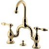 Polished Brass