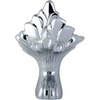 Polished Chrome