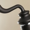image:imageFauceture LS541RLAB Royale SingleHandle Bathroom Faucet with Push PopUp Antique BrassMatte BlackPolished Chrome