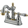 Polished Chrome/Polished Brass
