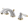 Polished Chrome/Polished Brass