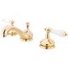 Polished Brass