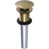 Polished Brass