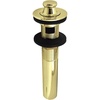 Polished Brass