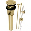 Brushed Brass