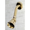 image:imageKingston Brass K133A2 Designer Trimscape Showerscape 214Inch Shower Head Polished BrassPolished Brass
