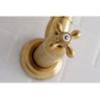 image:imageKingston Brass KS3101AX Pot Filler Metal Cross Handle Polished Chrome 818Inch Spout HeightBrushed Brass