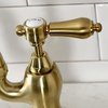 image:imageKingston Brass KS7752BALBS Heirloom Bridge Kitchen Faucet with Brass Sprayer Polished BrassBrushed Brass