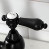 image:imageKingston Brass KS7752BALBS Heirloom Bridge Kitchen Faucet with Brass Sprayer Polished BrassMatte Black