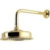 Polished Brass