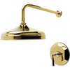 Polished Brass