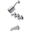 Polished Chrome